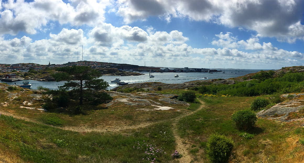 Extensive area with green landscape, clear water and boats as well as a coastal town in the back.